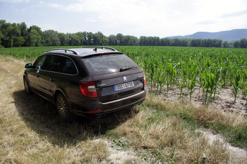 Illustration for article titled Europe's All Around Best Value Executive Car Is This Wagon